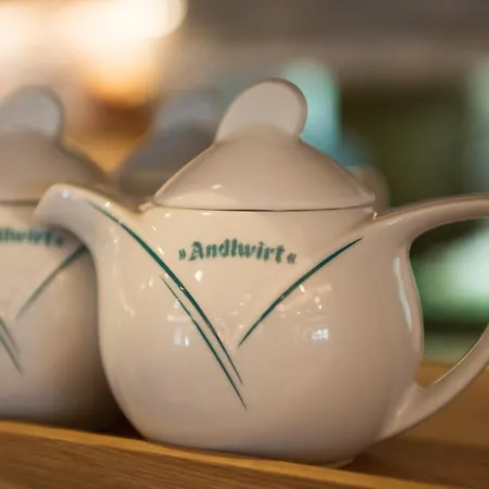 Hotel Andlwirt 3*