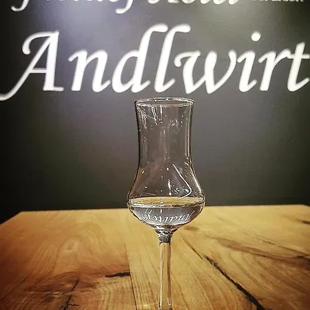 Hotel Andlwirt 3*